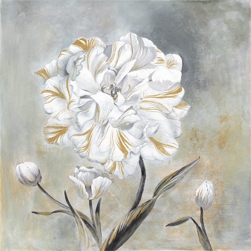 花美人 II