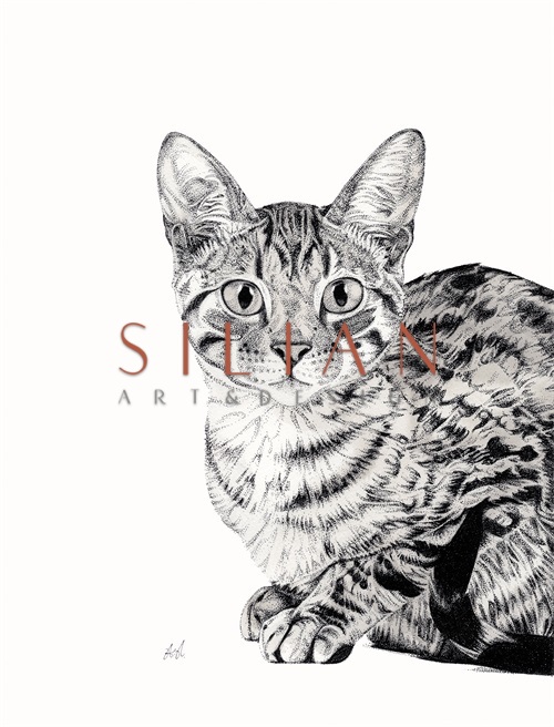 B & W Animal Portrait VI