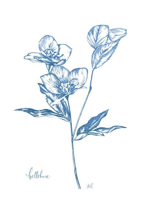 Blooming I