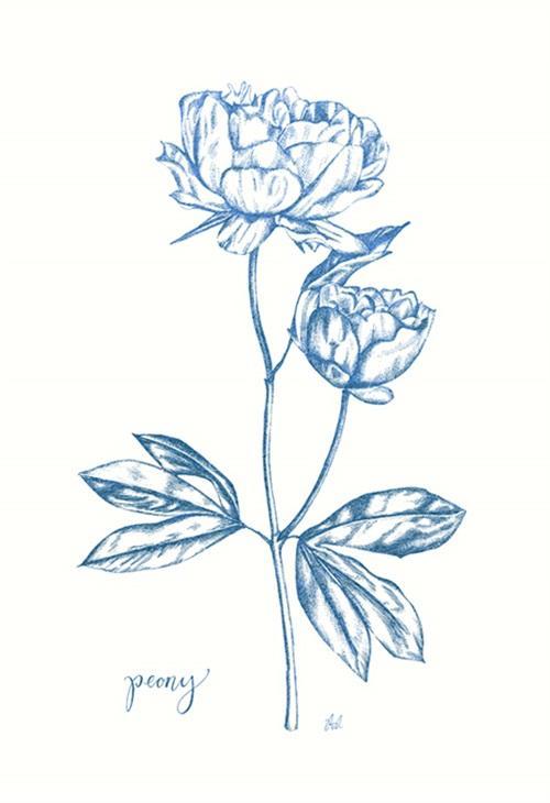 Blooming II
