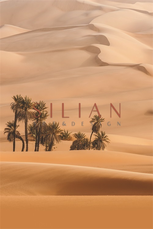 Views of Desert VI