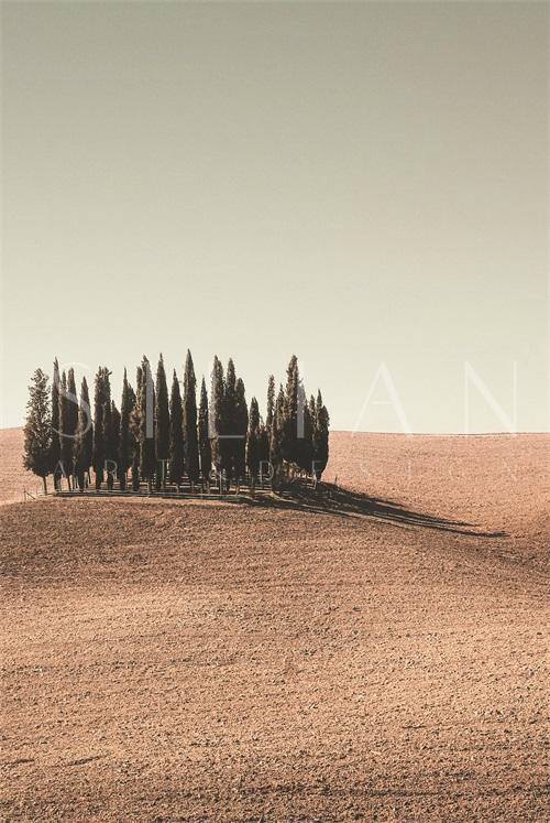 Views of Desert I