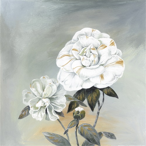 花美人 I
