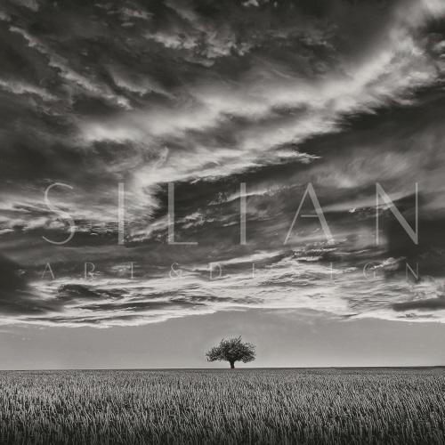 Photography  Collage I