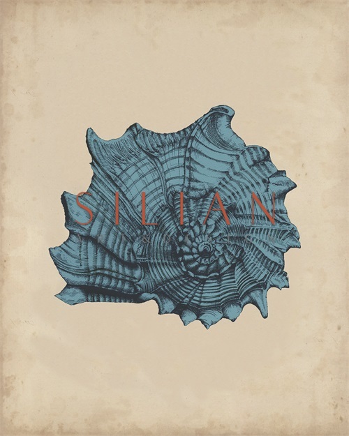 Indigo Shells I