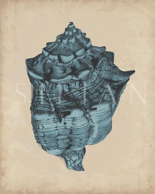 Indigo Shells II
