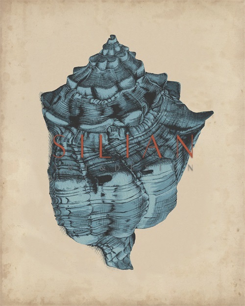 Indigo Shells II
