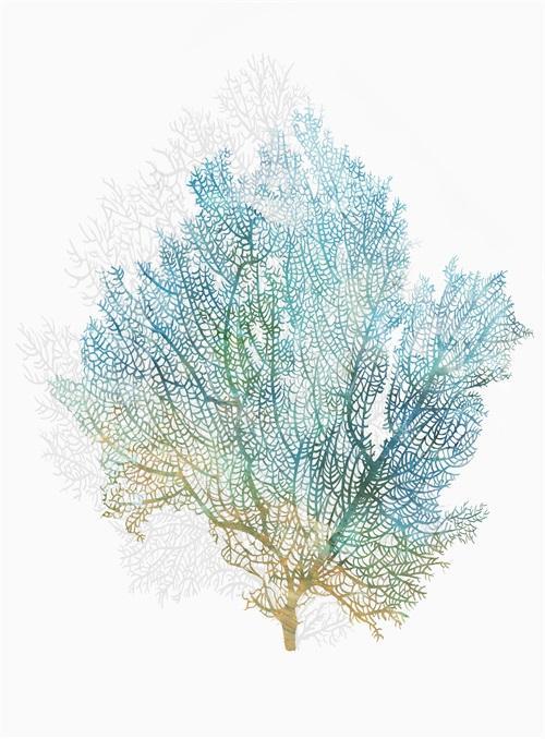 Abstract Coral Ⅳ