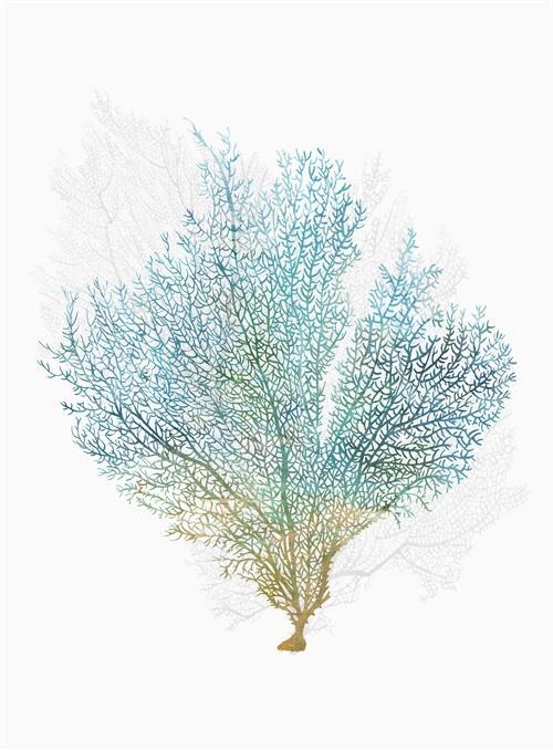 Abstract Coral Ⅰ