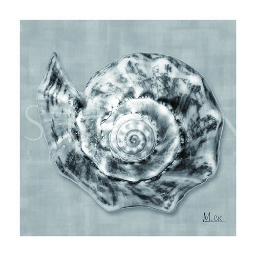 Shell II