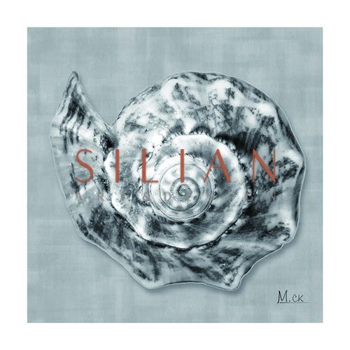 Shell II