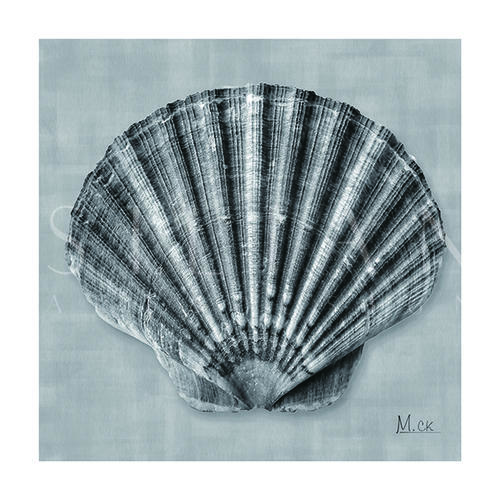 Shell V