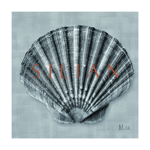 Shell V