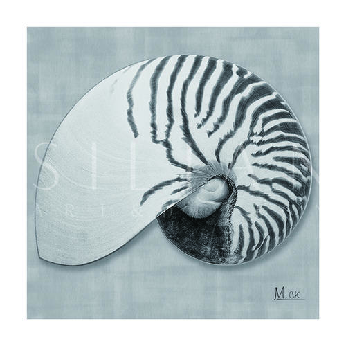 Shell VX