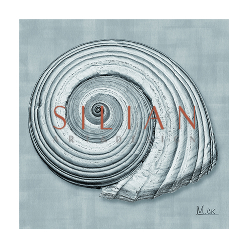 Shell IV