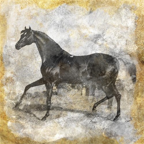 Black Horse I