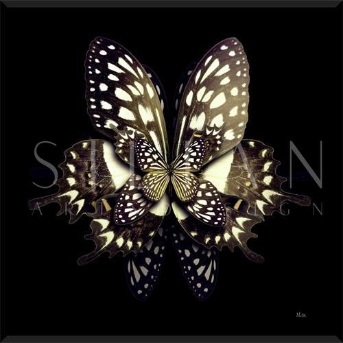 Nighttime Flora IV