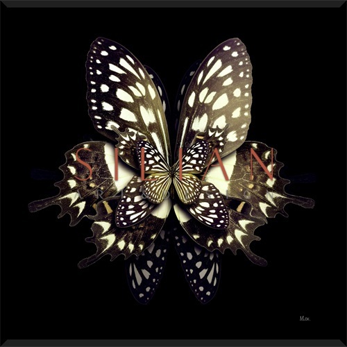 Nighttime Flora IV