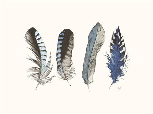Cyanotype Feathers I