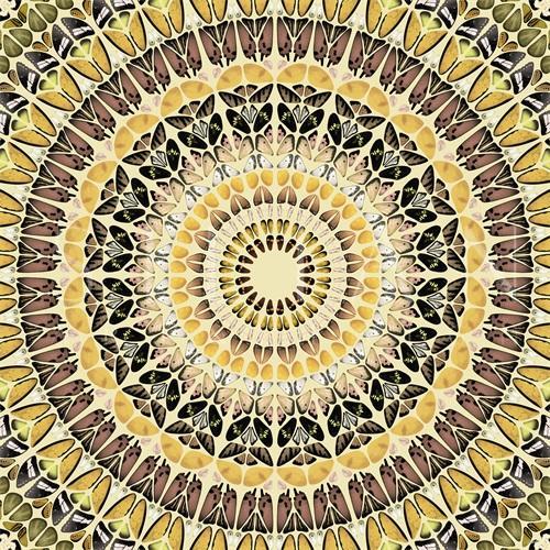Mandala Pattern II
