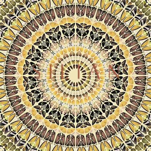 Mandala Pattern II