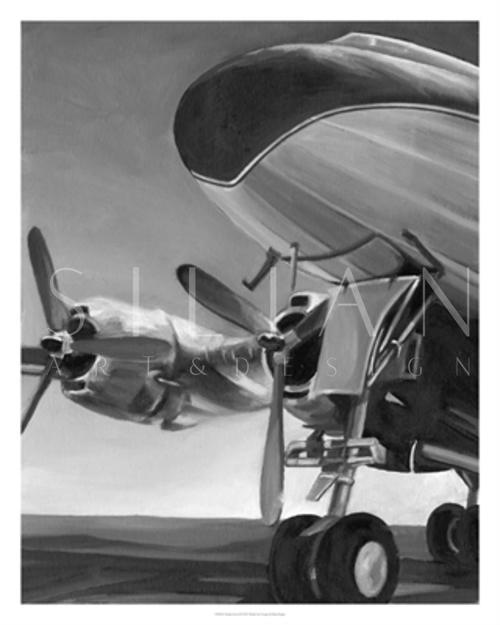 Aviation Icon II