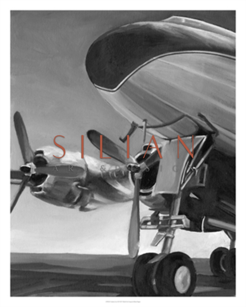 Aviation Icon II