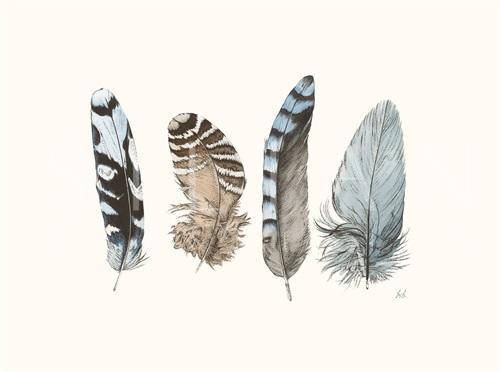 Cyanotype Feathers II
