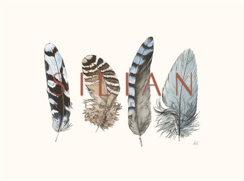 Cyanotype Feathers II