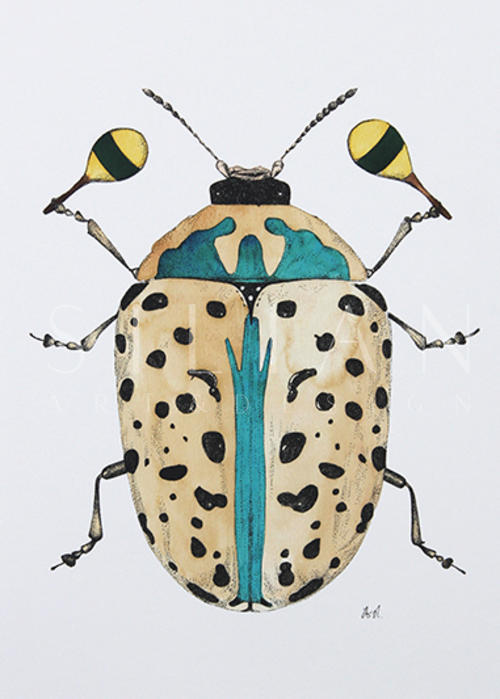 Beetle Study III