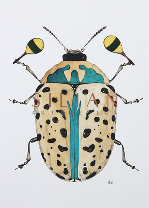 Beetle Study III