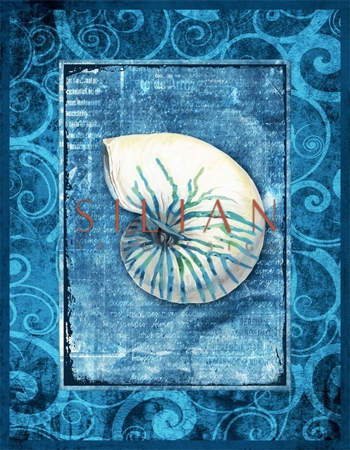 Blue Shell Ⅱ