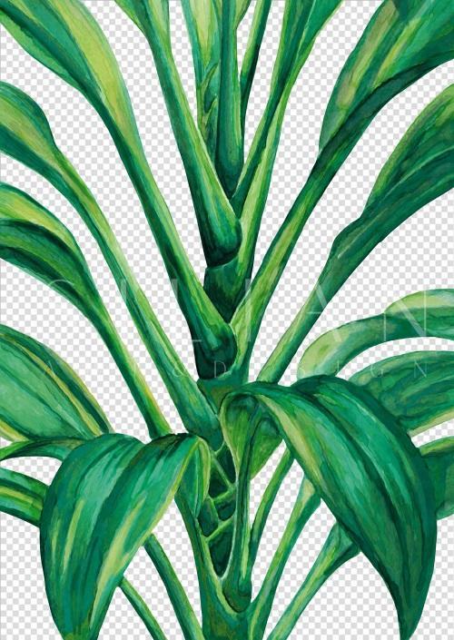 Emerald Green I