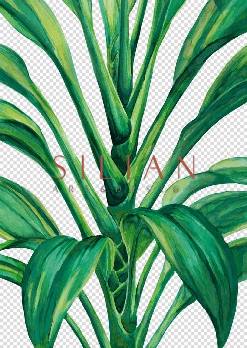 Emerald Green I