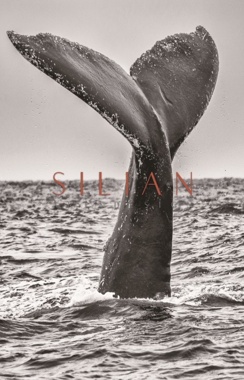 Whale I