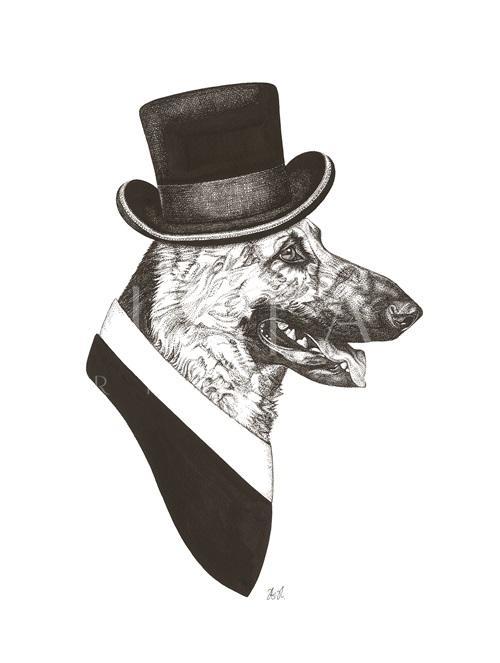 B & W Animal Portrait II