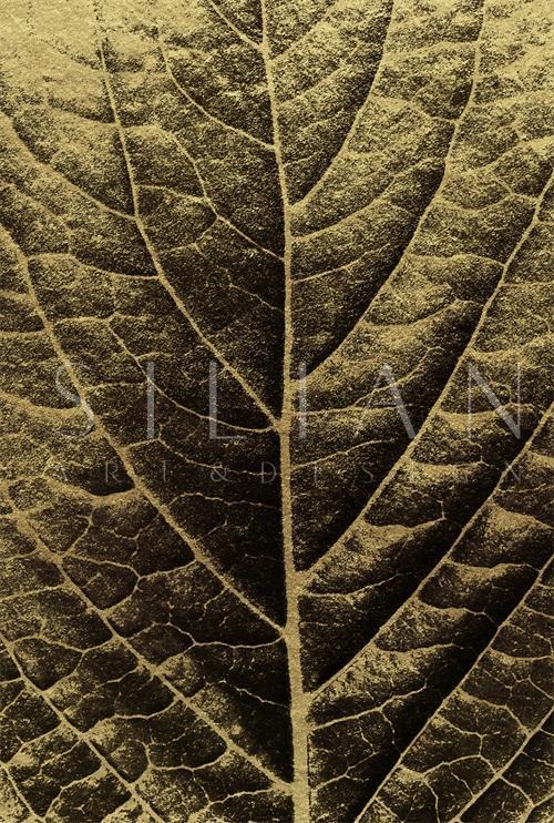Black And Golden Plants IV
