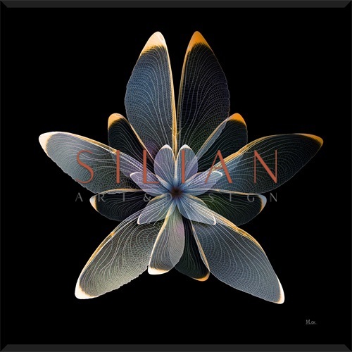 Nighttime Flora II
