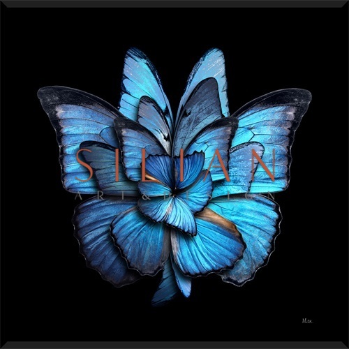 Nighttime Flora I