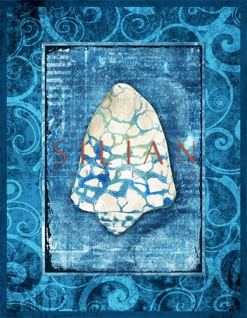 Blue Shell Ⅳ