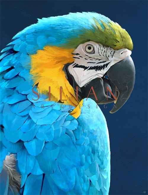Parrot