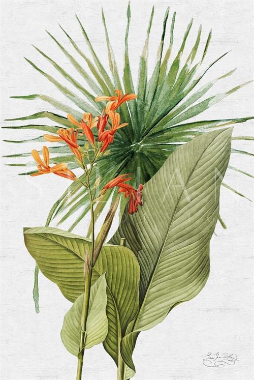 Tropical Variety II