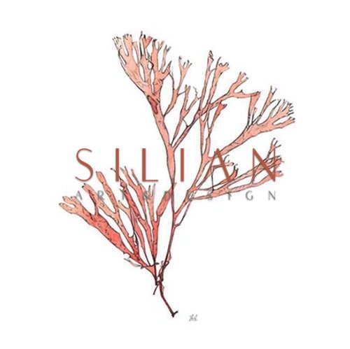 Vintage Coral Collection II