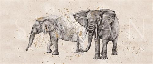 Elephant Sketch