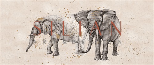 Elephant Sketch