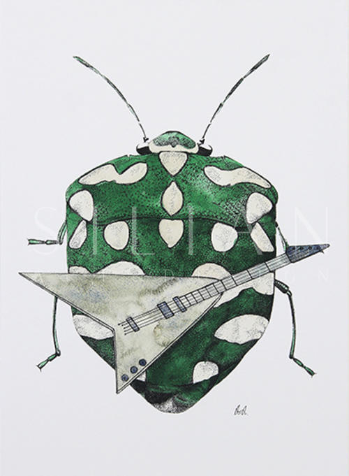 Beetle Study I