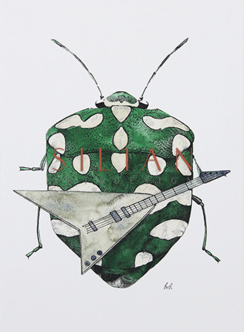 Beetle Study I
