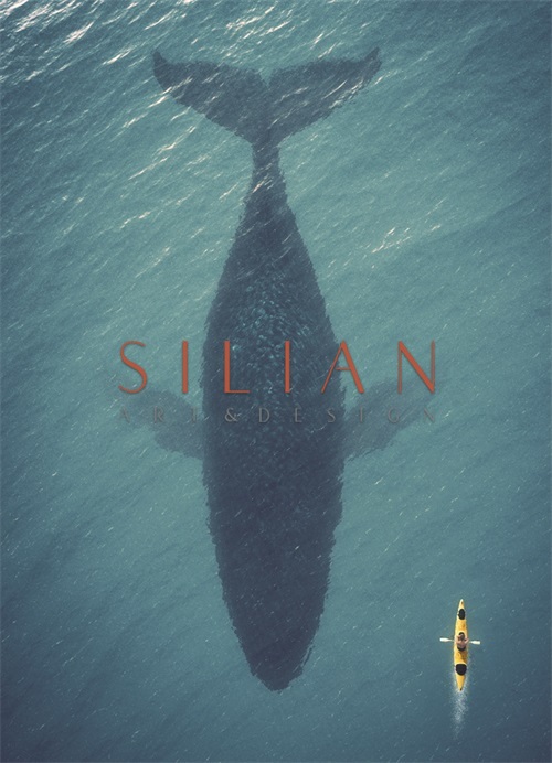 Whale Shadow