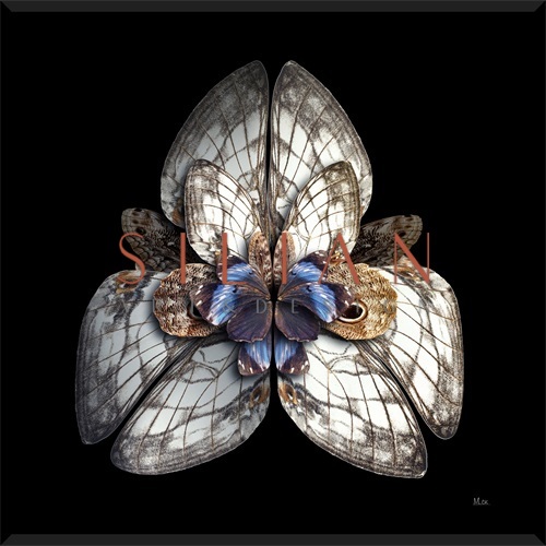Nighttime Flora III