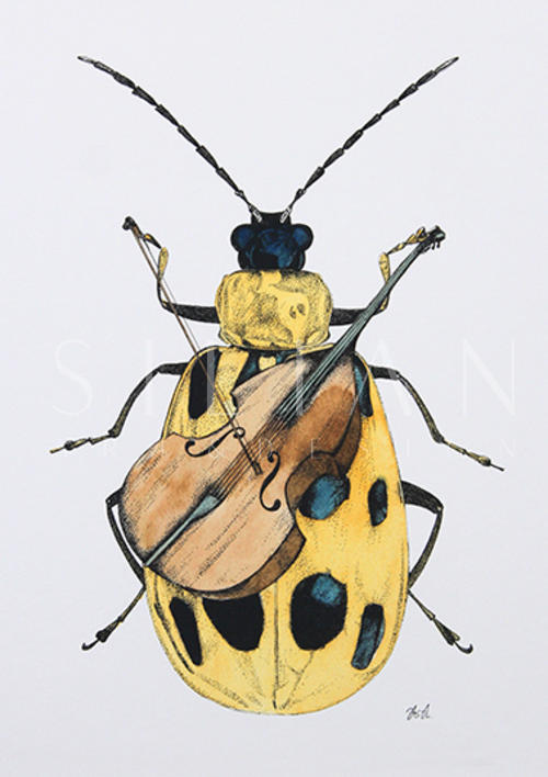 Beetle Study II